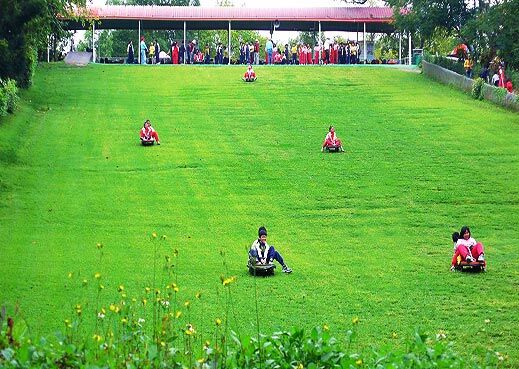 時尚滑草，玩轉(zhuǎn)大自然的極速快感